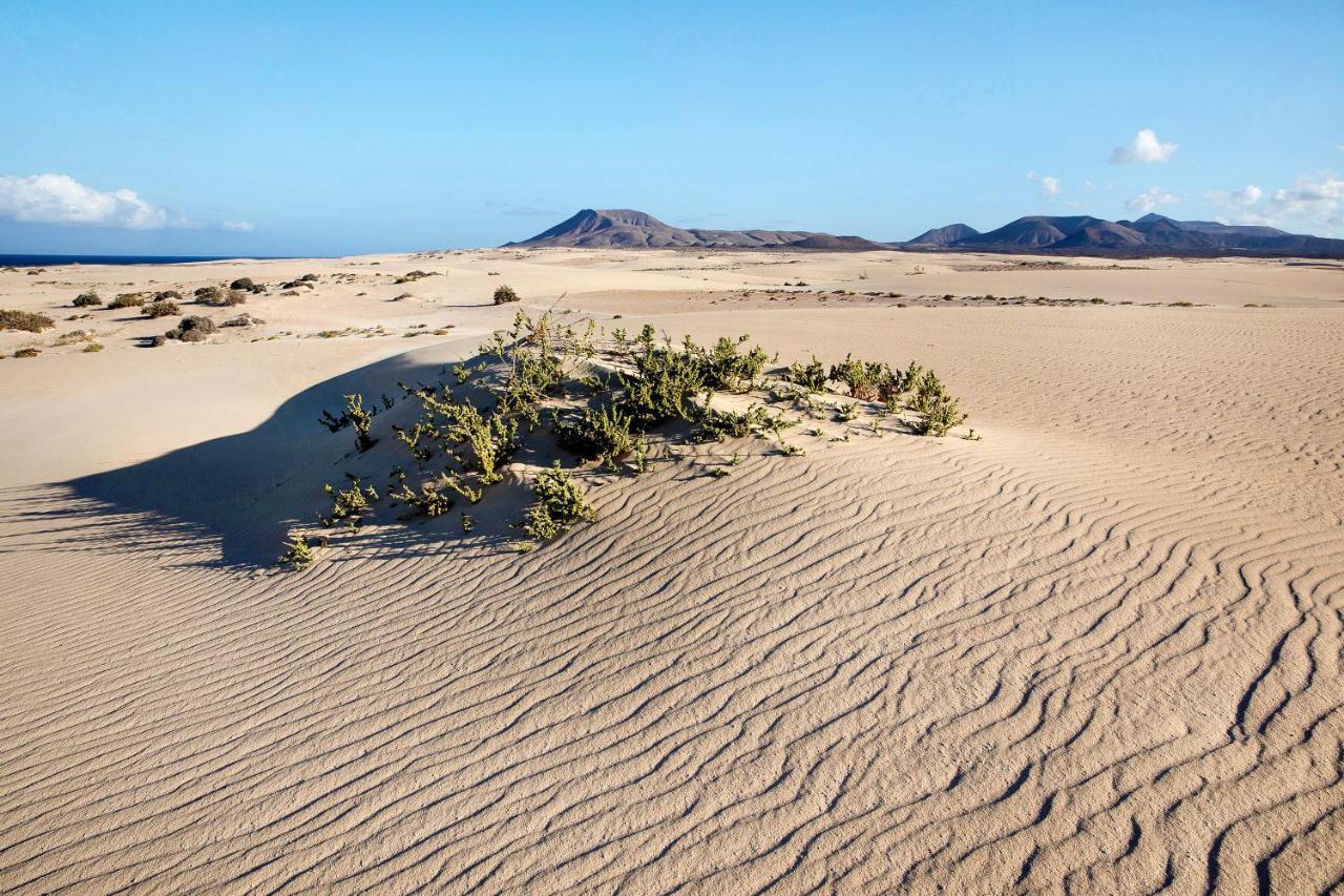Villa Contenta Corralejo Esterno foto